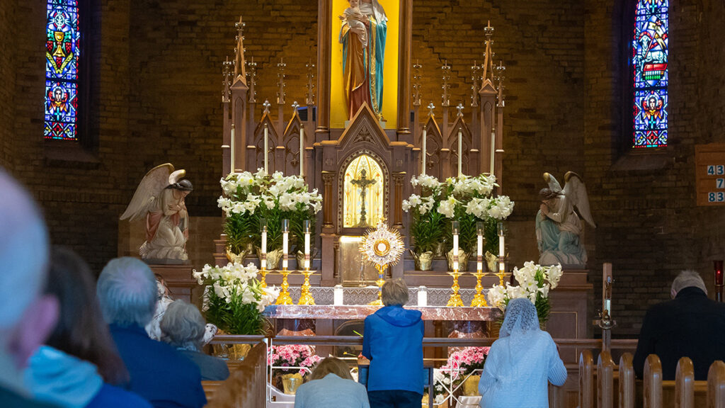 Famed Wisconsin shrine to Marian apparition gets new name, new solemnity - Vimarsana News