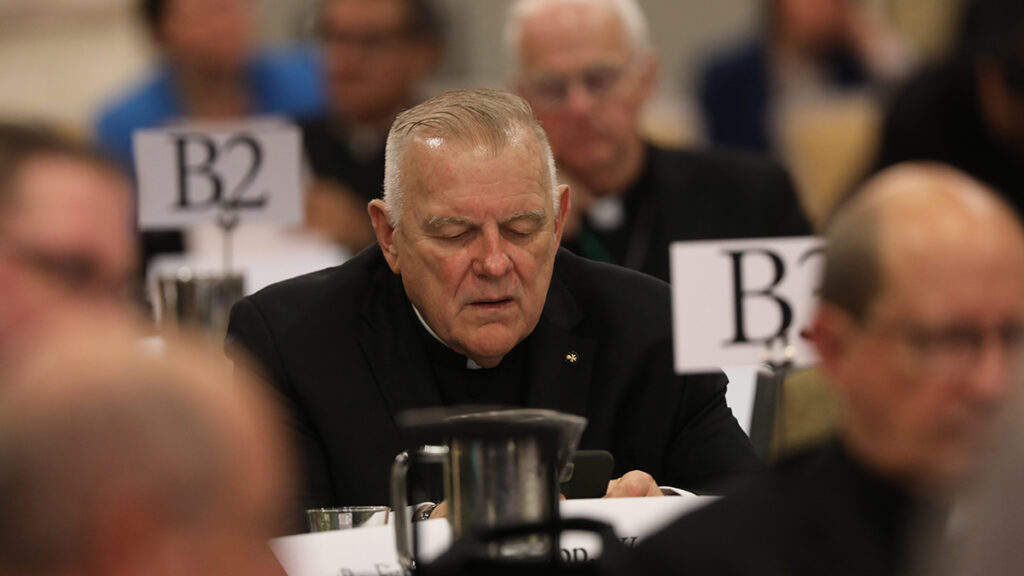 U.S. bishops advance pastoral initiatives to strengthen church amid discussions on Eucharist, priesthood, synodality - Vimarsana News