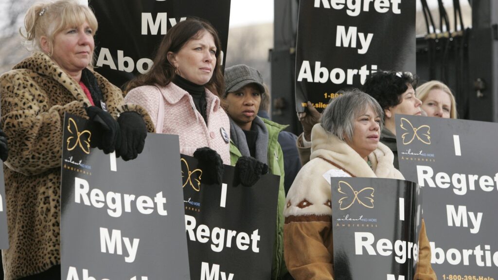 Pro-life protesters gain partial win over major city's 'abortion bubble' restrictions - Vimarsana News