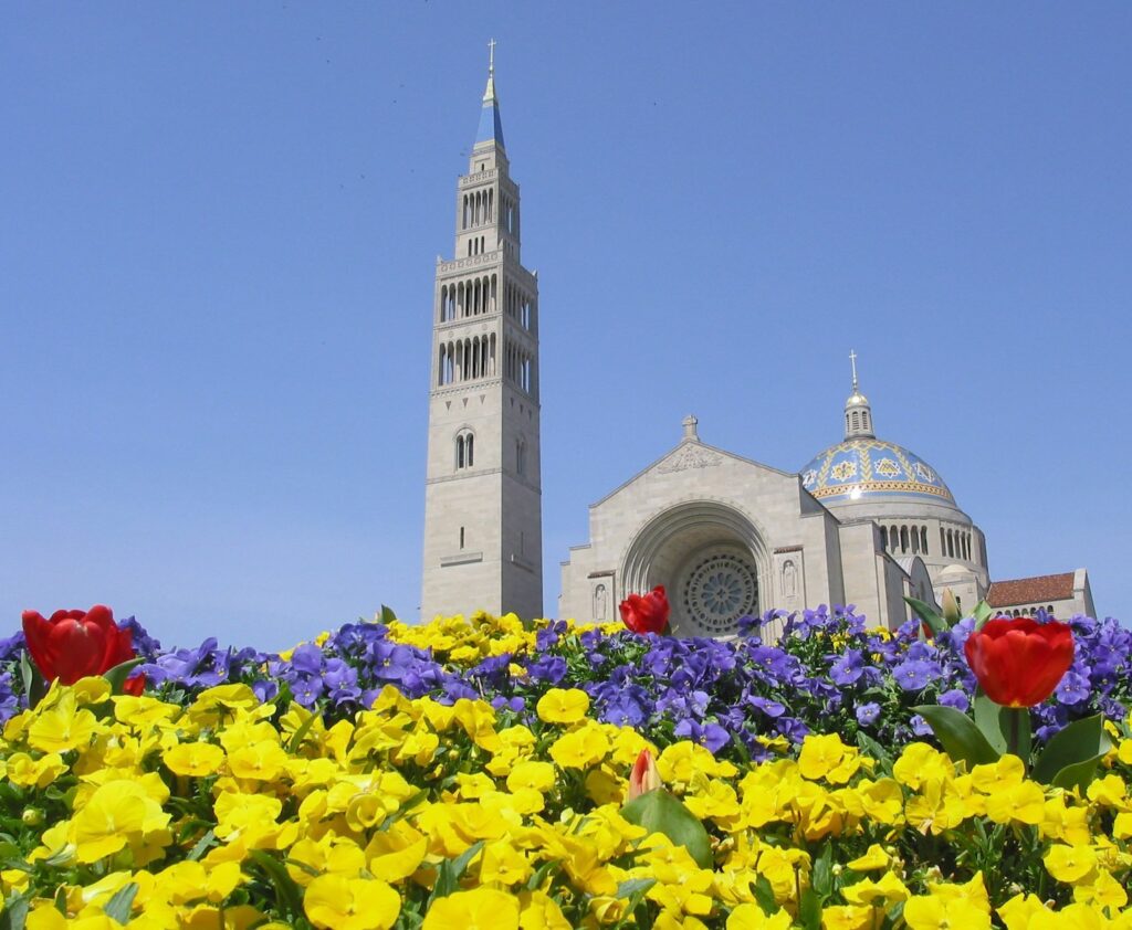 A file photo shows spring flowers blooming outside the Basilica of the National Shrine of the Immaculate Conception in Washington