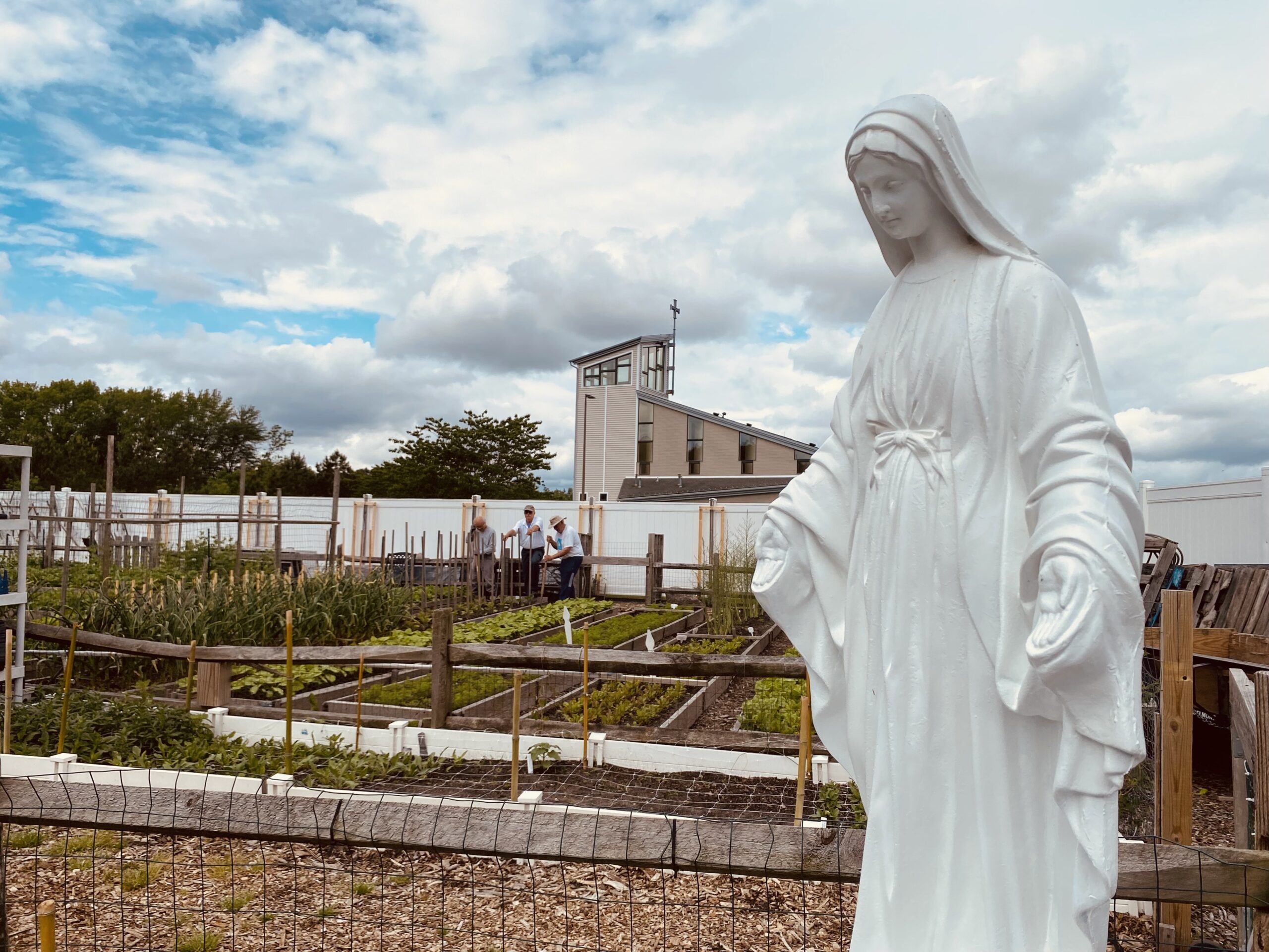 Delaware garden of plenty provides food to needy, thanks to Vincentians, parishes