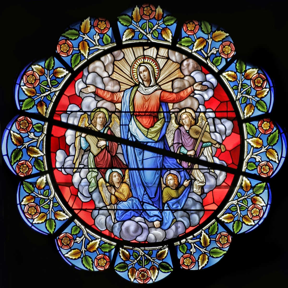 Mary’s assumption: T...