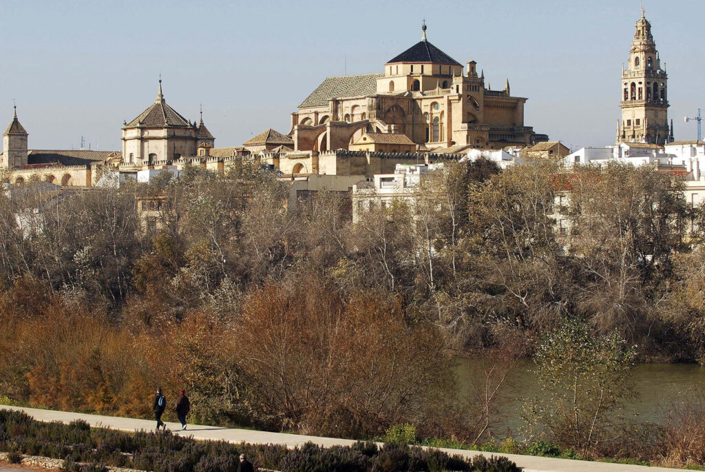 Cordoba cathedral fi...