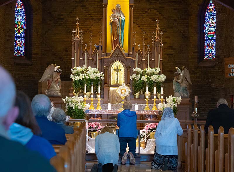 Wisconsin bishop invites faithful to share stories of Marian visionary Adele Brice