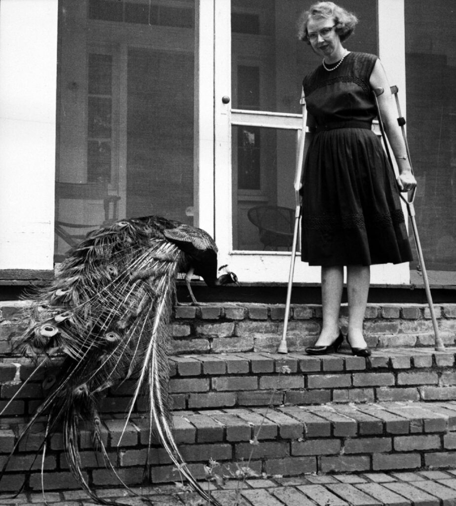Catholic writer Flannery O'Connor is seen in an undated photo with a peacock.